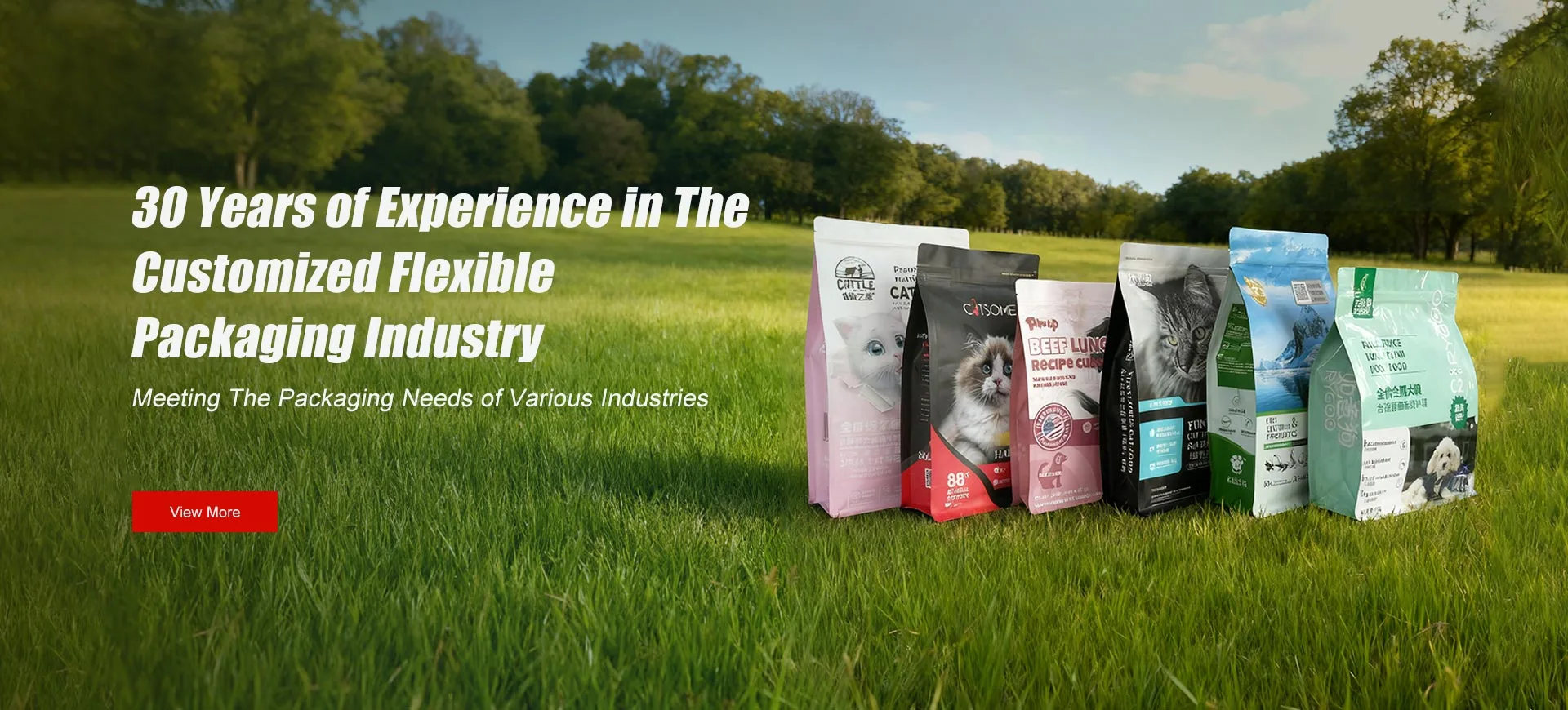 XXX annos experientia in elit elit packaging elit